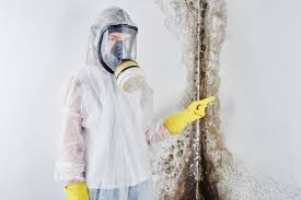 Why You Should Choose Our Mold Remediation Services in Beech Mountain Lakes, PA